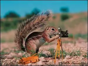 C'est la rentrée, youpie ! Alors, on prend une photo, je demande juste un sourire. Comment s'appelle ce fameux photographe ?