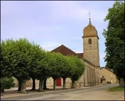 Nous commençons par un petit tour dans la commune Jurassienne d'Arlay. Nous sommes en région ...