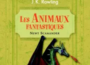 Quiz Les Animaux Fantastiques dans le monde de Harry Potter