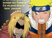 Quiz Fullmetal Alchemist en dlire ! (3)