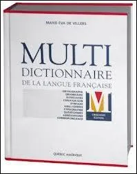 Un seul de ces mots prononcés par des "personnalités" n'est pas présent dans les dictionnaires. Lequel ?