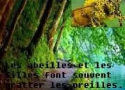 Quiz Nature, socit et proverbes