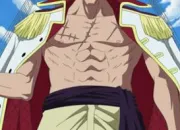 Quiz One Piece : Barbe blanche