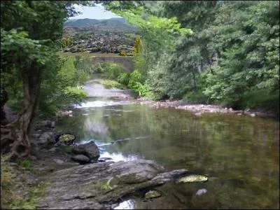 Où, la Dourbie, rivière passant sous le pont de la Prade à Nant (12), prend-elle sa source ?
Quels poissons visibles sur l'illustration y pêche-t-on ?
Combien y en a-t-il ?