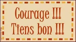 Tu ne m'as pas écoutée, te voilà devant mon quiz insipide ! 
Tu as eu du courage... Tiens, en parlant de courage, pourras-tu trouver la seule de ces citations de la main de John Gay ?