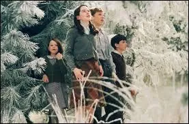 Comment s'appellent les enfants Pevensie ?