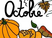 Quiz Proverbes d'octobre