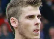 Quiz David de Gea