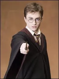 Qui est ce personnage dans Harry Potter ?