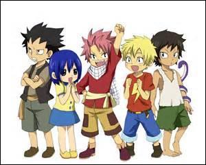 Quiz Fairy Tail Chasseurs de dragons