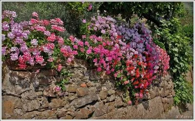 De qui sont les paroles "J'me souviens, on avait des projets sur la terre, pour les hommes comme la nature, faire tomber les barrières les murs, les vieux parapets d'Arthur" ?