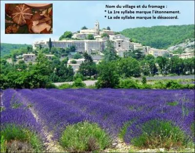 Indices : regardez l'illustration ! 
Quel est le département dont le petit village adossé au plateau d'Albion, entre la montagne de Lure et le mont Ventoux, a donné son nom à un petit fromage ?