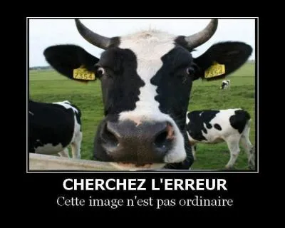 Chercher l'erreur !