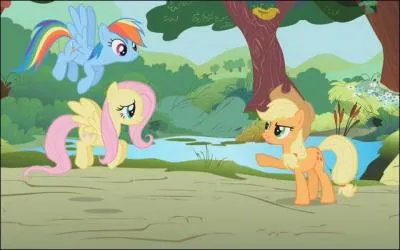 Est-ce que ces 3 poneys s'aiment bien ?