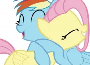 Quiz Rainbow Dash et Fluttershy