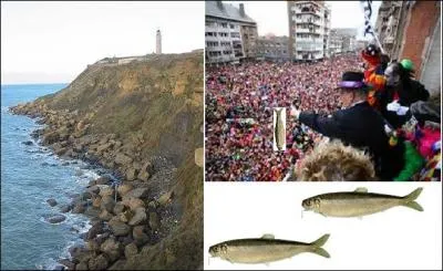 Je suis une ville connue pour un carnaval enjoué, située sur la ------.