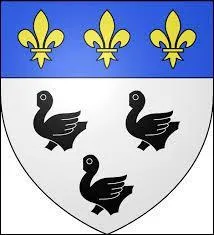 Ce blason appartient à une ville qui est préfecture d'un département de Picardie. Ville bâtie sur une colline, dont la cathédrale en son sommet lui vaut le surnom de "Montagne couronnée", il s'agit de la ville de ...