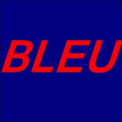 Quelle est la couleur du mot "bleu" ?