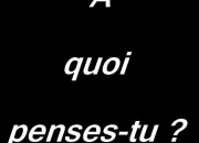 Quiz  quoi penses-tu ?