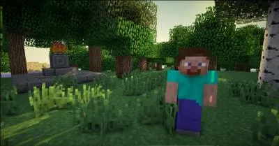 Comment s'appelle le héros de Minecraft ?