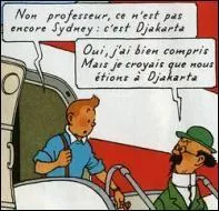 Quel vol Tintin et le professeur Tournesol doivent-ils prendre à la correspondance de l'aéroport de Djakarta ?