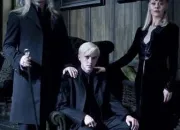 Quiz Connaissez-vous vraiment la famille Malfoy ?