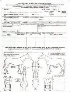 1- L'identification de base permet de ... Clique sur l'intrus.