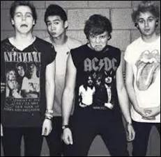 Grâce à quel groupe les 5 Seconds of Summer sont-ils connus ?