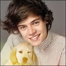 Quel est l'animal que Harry adore ?