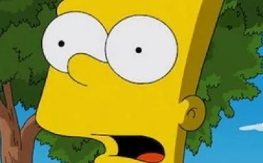 Quiz Simpson