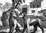 Quiz 'Le Loup et le Chien'