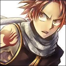 Qui est le personnage principal de Fairy Tail ?