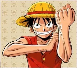 Selon vous, lequel de ces adjectifs irait à Luffy ?