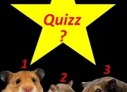 Quiz Les races d'animaux