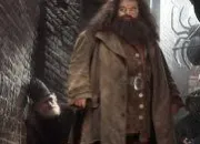 Quiz Rubeus Hagrid