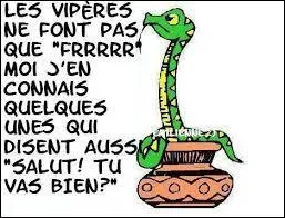 Selon un proverbe sénégalais, où les mauvaises langues se noient-elles toujours ?