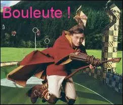 Dès qu'il eut entendu cet appel au secours, Bouleute fila façon Potter jusqu'à la salle de réunion des participants. Bien évidemment, avant d'entrer dans ce qui s'avérait ressembler au bureau de Dumbledore, il n'oublia pas de dire...