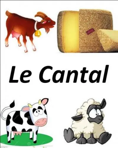 Quel est le bon lait utilisé pour ce fromage ?