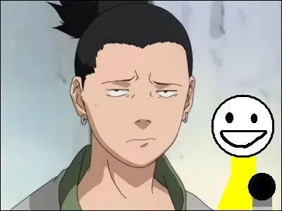 Bonjour Shikamaru ! Commençons par le commencement : de quel manga venez-vous ?