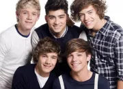 Quiz 1D - Quelle fan es-tu ?