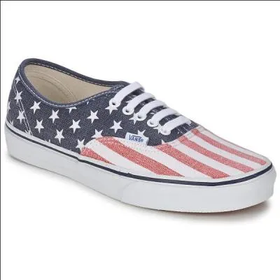 Quel drapeau est imprimé sur cette paire de Vans ?