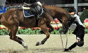 Quiz Equitation