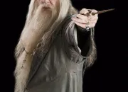 Quiz Albus Dumbledore