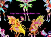 Quiz Quizz saison 4 du Winx club de Vanina