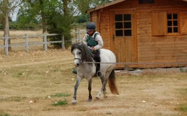 Quiz Chevaux