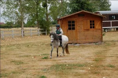 Faut-il une licence pour monter à cheval ?