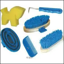 Quelles sont les brosses de pansage ? Je ne m'en rappelle plus !