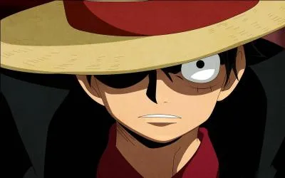 A combien de berrys s'élève la prime de Monkey D.Luffy ? (après l'ellipse)