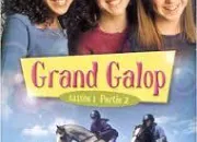 Quiz Grand Galop