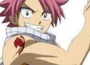 Quiz Fairy Tail